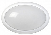 Светильник светодиодный ДБП-8w 4500K 640Лм IP54 овальный пластиковый белый (LDPO0-3020-8-4500-K01) IEK