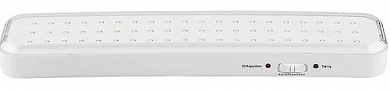 Светильник аварийный светодиодный LEDх60 6ч постоянный/непостоянный с наклейкой ВЫХОД IP20 (EL121 AC/DC) (12671) FERON